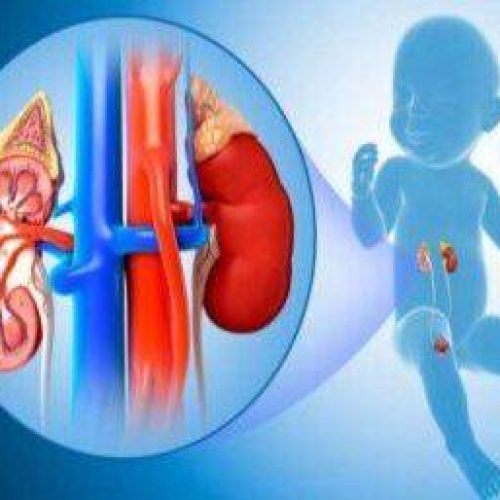 Treatment For Pediatric Urology