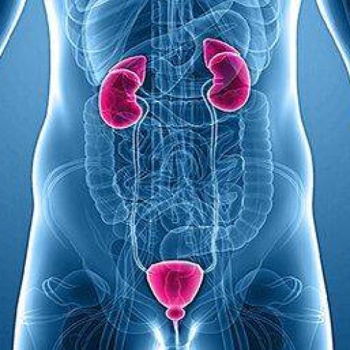 Treatment of Andrology Issues