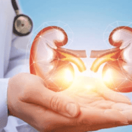 Treatment for Uro-Oncology Issues